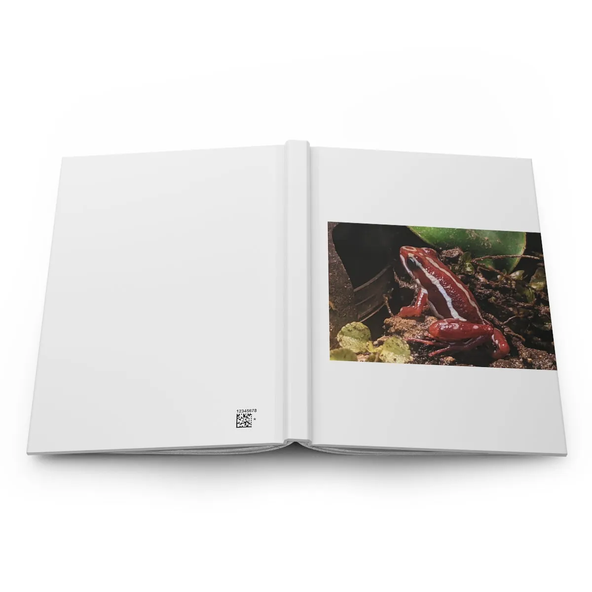 Red Frog Hardcover Journal Matte