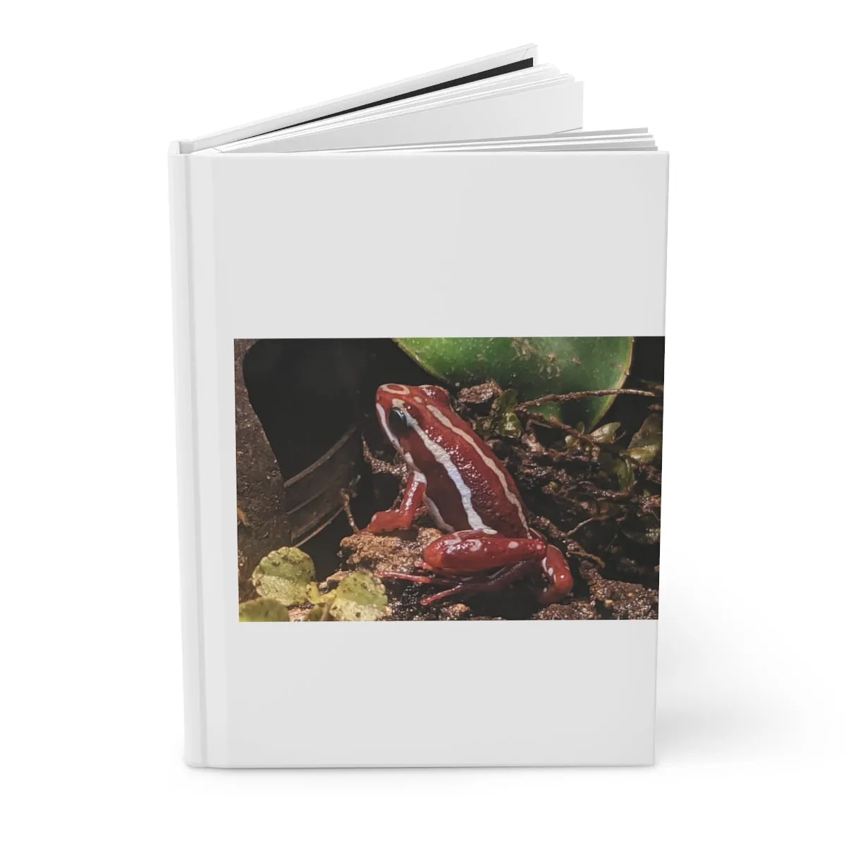 Red Frog Hardcover Journal Matte